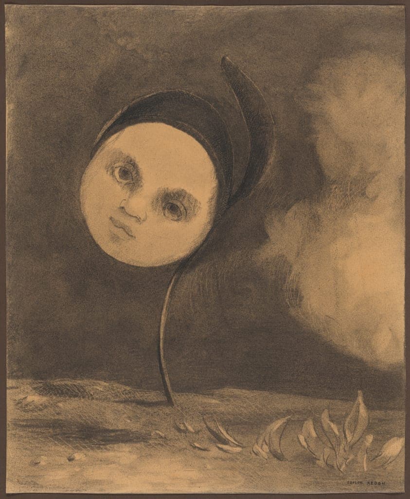Strange Flower (Little Sister of the Poor) by Odilon Redon
French, 1840-1916 — fine art print