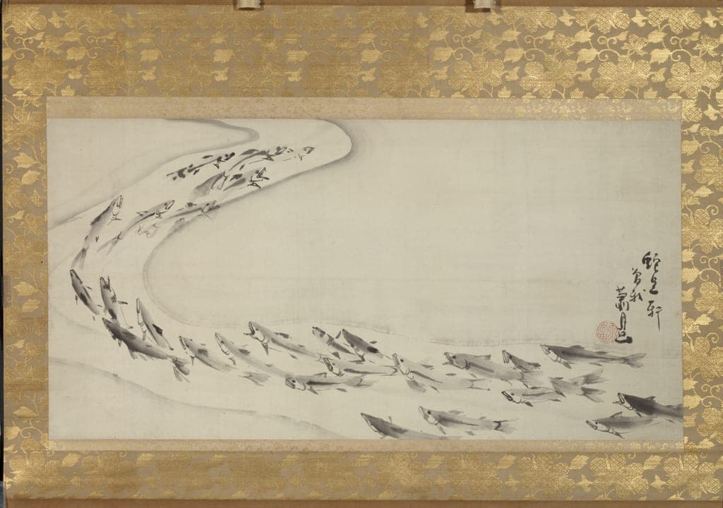 School of Fish by Soga Shōhaku 曾我 蕭白 (Japanese, 1730–1781) — fine art print