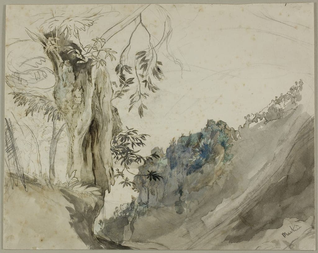 Spanish Chestnut by John Ruskin
English, 1819-1900 — fine art print