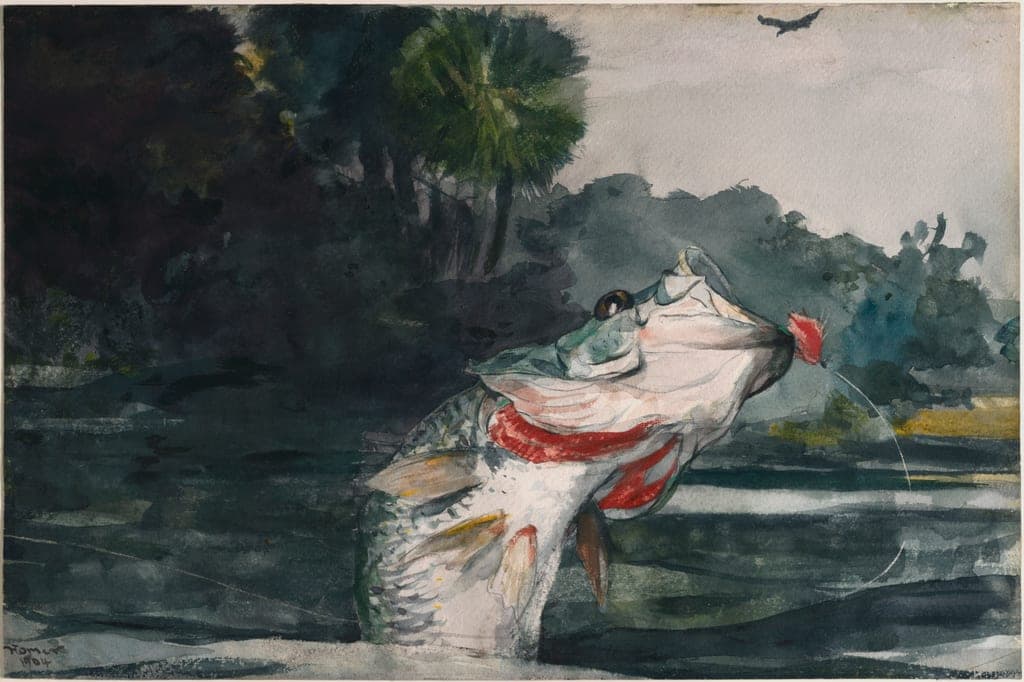 Life-Size Black Bass by Winslow Homer
American, 1836-1910 — fine art print