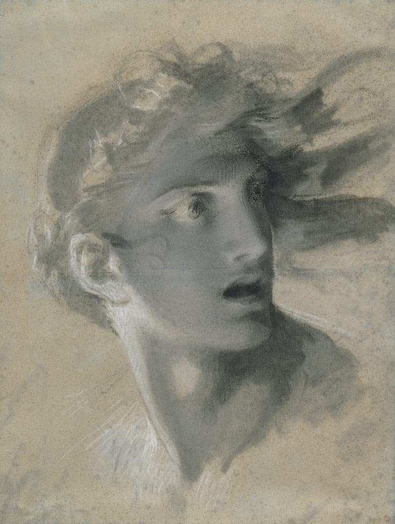 Head of Vengeance by Pierre-Paul Prud'hon
French, 1758-1823 — fine art print