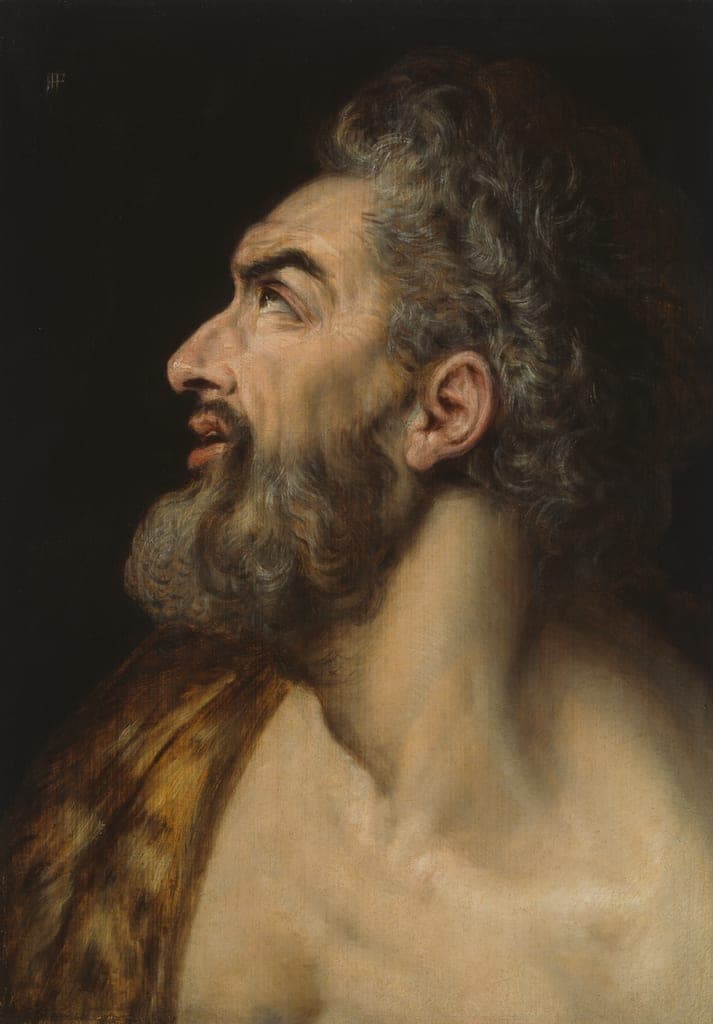 Study Head of a Bearded Man by Frans Floris, I (Netherlandish, by 1520–1570) — fine art print
