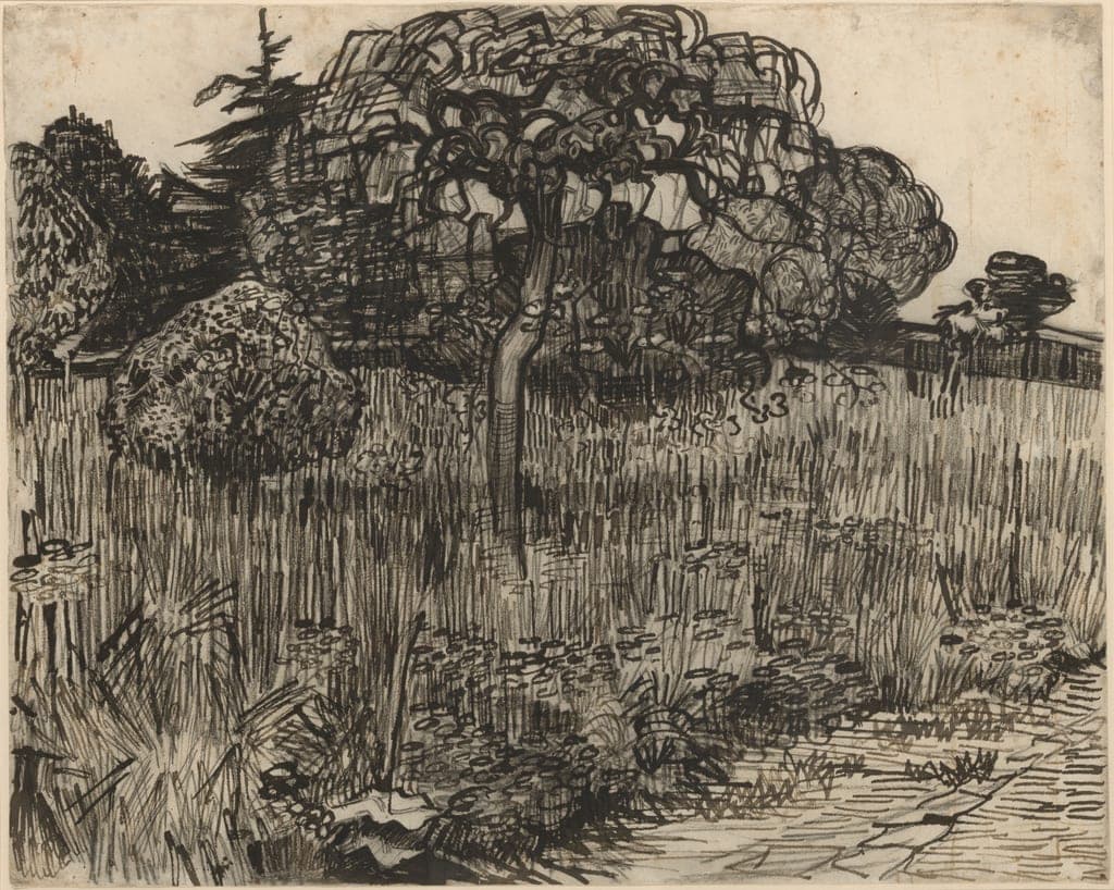 Weeping Tree by Vincent van Gogh
Dutch, 1853-1890 — fine art print