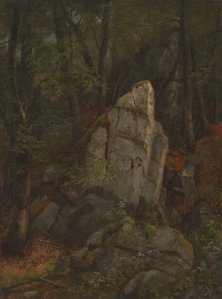 Study of Rocks in Pearson's Ravine by Asher B. Durand
American, 1796–1886 — fine art print