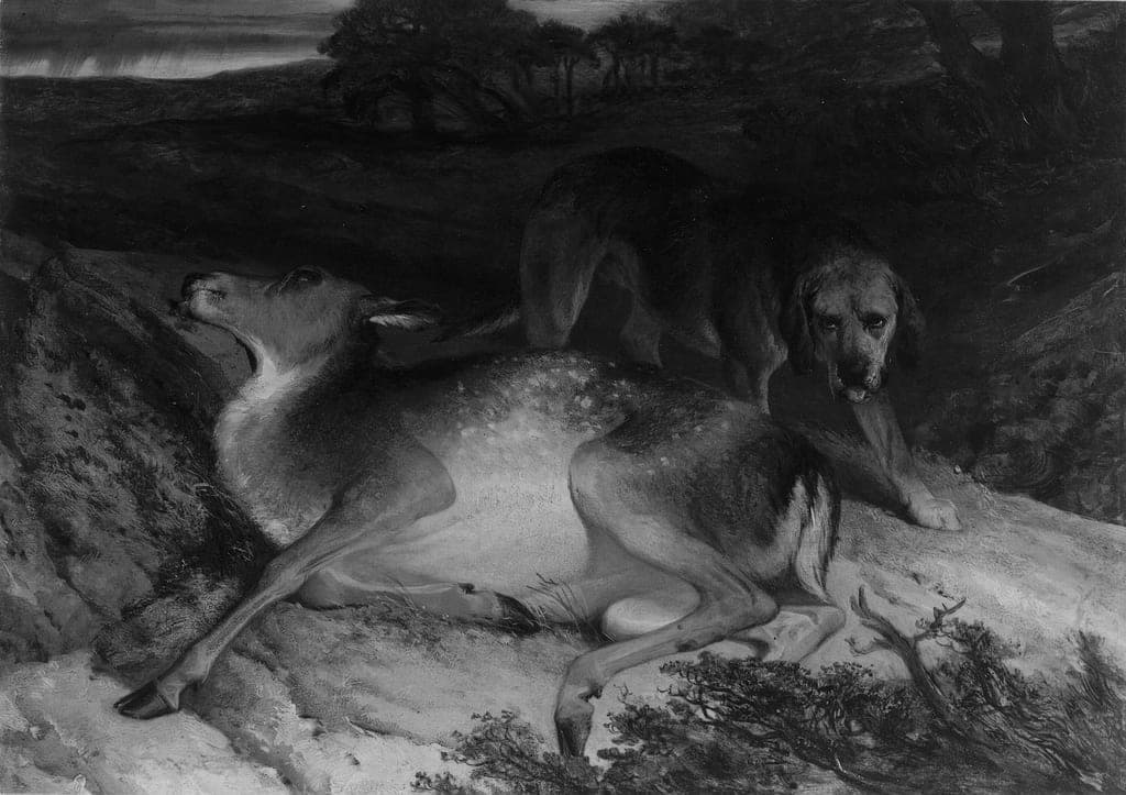 Wounded Stag and Dog by Edwin Henry Landseer (English, 1802–1873) — fine art print