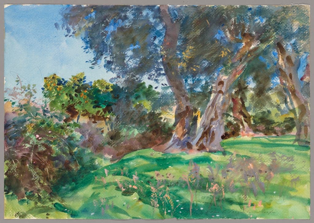 Olive Trees, Corfu by John Singer Sargent
American, 1856-1925 — fine art print