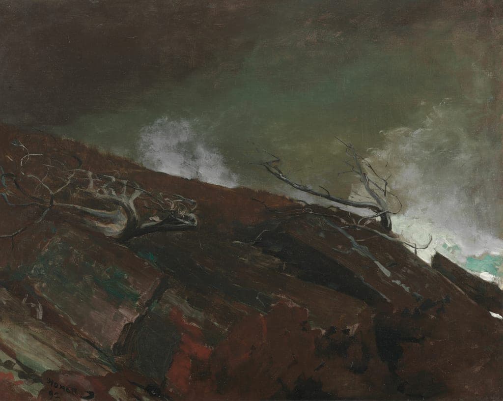 Coast of Maine by Winslow Homer (American, 1836–1910) — fine art print