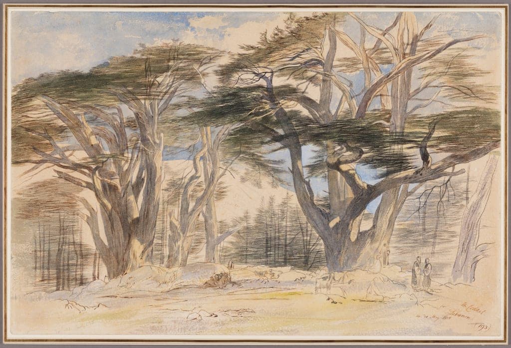 The Cedars of Lebanon by Edward Lear
English, 1812-1888 — fine art print